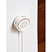 Osram Smart+ Alarmsirene (Innen, 90 dB, Netzbetrieben) | BAUHAUS