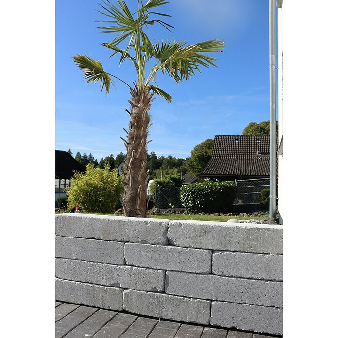 Christoph Mauerstein Collo-Block (60 x 10,5 x 14 cm, Silbergrau, Beton) | BAUHAUS