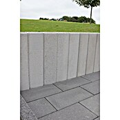 Christoph C-Line Palisade XL (60 x 15 x 10 cm, Silbergrau, Beton) | BAUHAUS