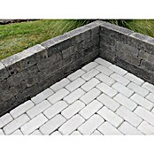 Christoph Pflasterstein CHR-Collo (24 x 12 x 7,1 cm, Beton, Silbergrau) | BAUHAUS