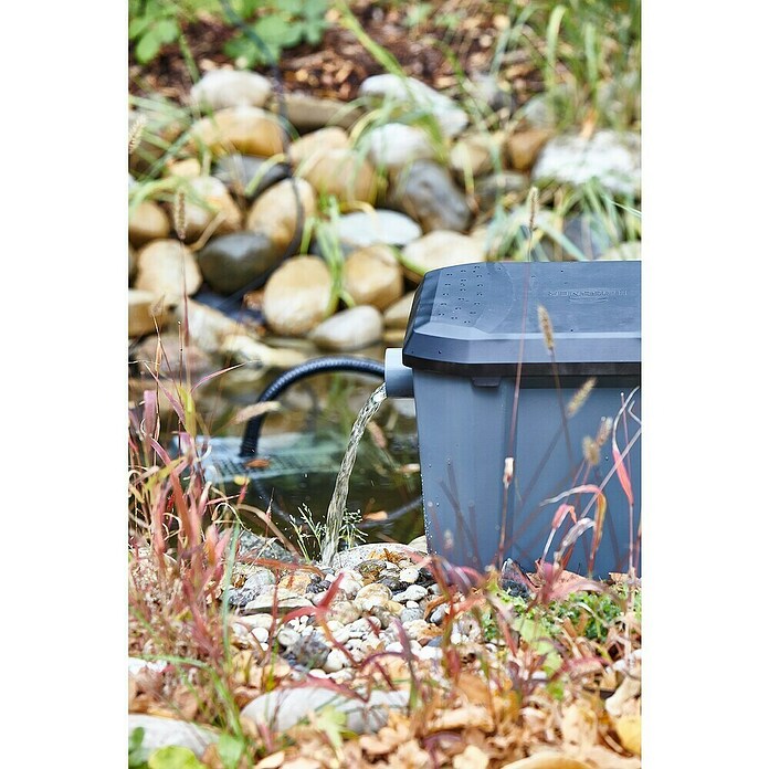 Heissner Set za pretočni filter UVC 8 M3  (33 W, Velikost ribnika: 8.000 l) | 7454 - Teichfilter | IAGE - Teiche und Zubehör | IAG - Außenbereichsausstattung | IA - Gartenhartware | I - Stadtgarten | BAUHAUS