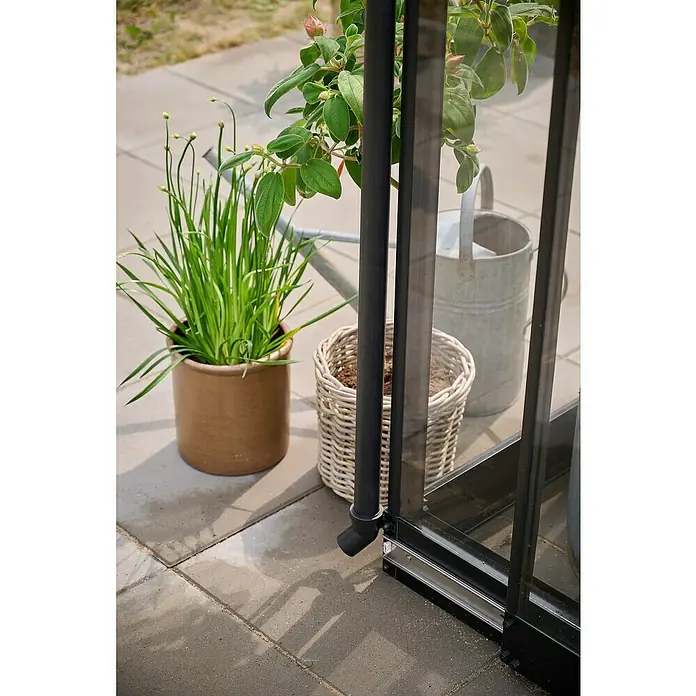 Halls Gewächshaus Qube Square - Außenmaß inkl. Dachüberstand (B x T): 250,8 x 250,8 cm, Material Seitenwand: Glas, 3 mm, Schwarz - Nahaufnahme eines charmanten Gartens mit Ziertöpfen und einem dekorativen Gewächshaus, das eine grüne Oase der Ruhe und Schönheit ausstrahlt.