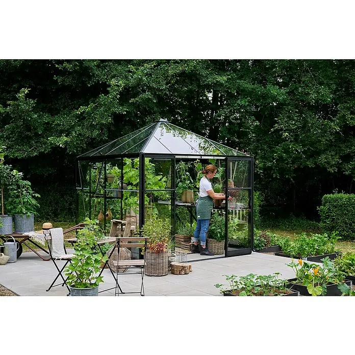 Halls Gewächshaus Qube Square - Außenmaß inkl. Dachüberstand (B x T): 250,8 x 250,8 cm, Material Seitenwand: Glas, 3 mm, Schwarz - Frau in einem Gewächshaus, umgeben von üppigem Grün, die Pflanzen pflegt. Das Gewächshaus bietet eine kontrollierte Umgebung.