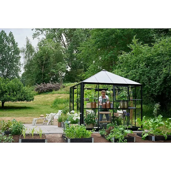 Halls Gewächshaus Qube Square - Außenmaß inkl. Dachüberstand (B x T): 250,8 x 250,8 cm, Material Seitenwand: Glas, 3 mm, Schwarz - Ein Gewächshaus aus Glas mit einem schwarzen Rahmen, umgeben von einem üppigen Garten mit erhöhten Beeten, bietet einen idealen Raum für Pflanzen.