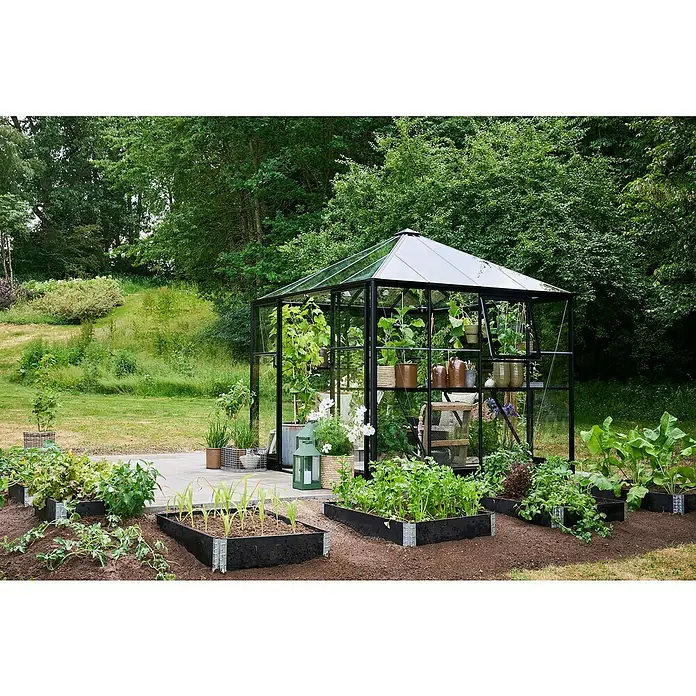 Halls Gewächshaus Qube Square - Außenmaß inkl. Dachüberstand (B x T): 250,8 x 250,8 cm, Material Seitenwand: Glas, 3 mm, Schwarz - Ein Gewächshaus mit Pflanzen und Beeten im Garten, das Anbausystem ermöglicht das Gärtnern auf kleinstem Raum.