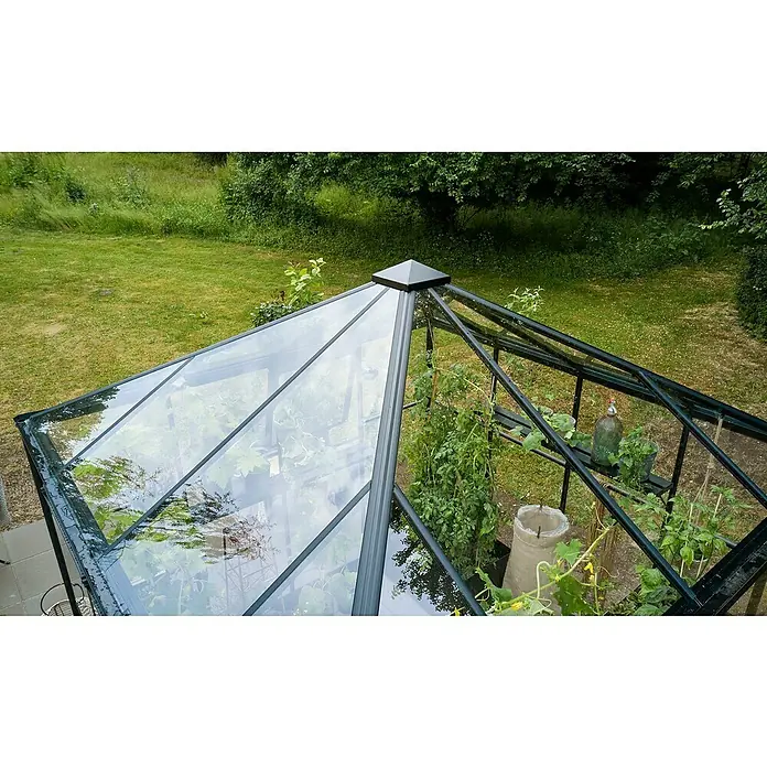 Halls Gewächshaus Qube Square - Außenmaß inkl. Dachüberstand (B x T): 250,8 x 250,8 cm, Material Seitenwand: Glas, 3 mm, Schwarz - Ein Gewächshaus mit Pflanzen im Inneren, die durch das Glasdach sichtbar sind. Die Konstruktion ist stabil und für den Garten geeignet.
