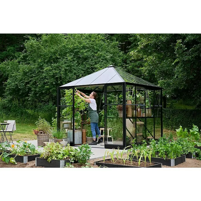 Halls Gewächshaus Qube Square - Außenmaß inkl. Dachüberstand (B x T): 250,8 x 250,8 cm, Material Seitenwand: Glas, 3 mm, Schwarz - Ein Gewächshaus mit einer Frau, die sich um die Pflanzen kümmert, umgeben von angelegten Beeten in einem üppigen Garten.