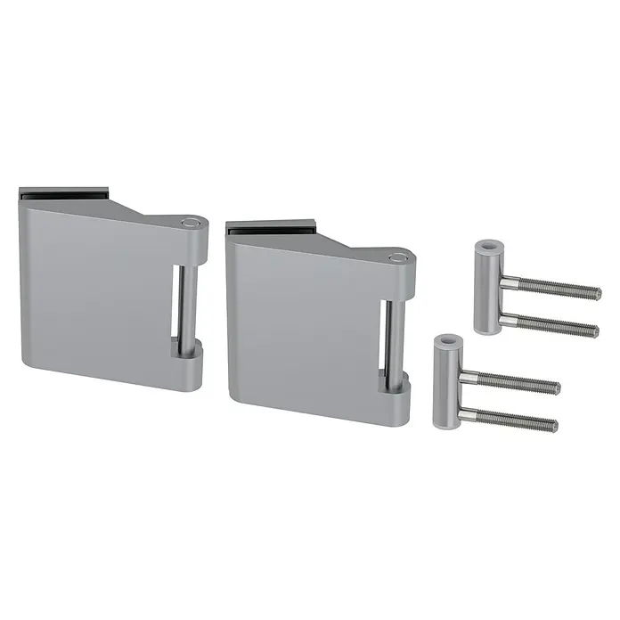 Diamond Doors Glastürbeschlag Sky - Aluminium EV1, Bandbohrung/Bänder: Office 3-teilig - Nahaufnahme von zwei Glasscharnieren und zwei Befestigungsstiften aus Metall, die für Glasduschen oder -türen geeignet sind.
