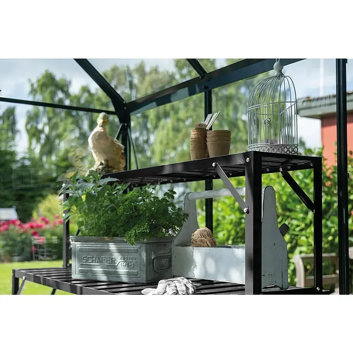 Halls Aufsatz für Gewächshaus-Tisch - 120,8 x 26 x 3,7 cm, Schwarz, Passend für: Halls Tische ( 1 Ablagefläche) - Nahaufnahme eines Gewächshausregals mit Pflanzen, Töpfen und Gartengeräten. Das Regal ist aus schwarzem Metall und steht vor üppigem Grün.