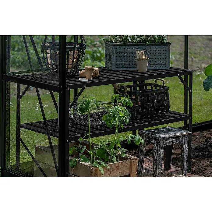 Halls Gewächshaus-Tisch 2 - 120,8 x 76 cm, Schwarz, Doppelte Ablageebene - Nahaufnahme eines schwarzen Metallregals im Gewächshaus mit Pflanzen und Gartenzubehör.