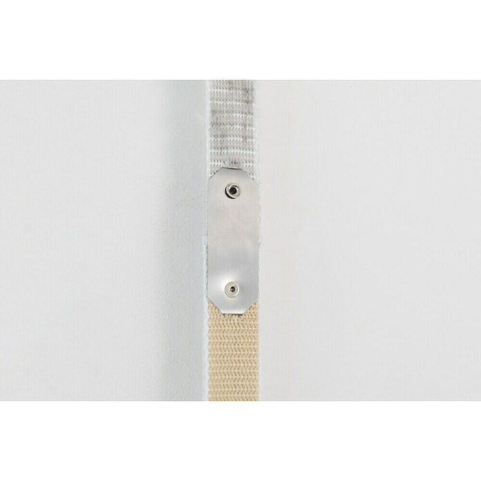 Schellenberg Cinta Fix (Largo: 4,3 m, Anchura de la correa: 23 mm, Beige)