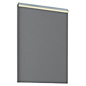Ogledalo z LED osvetlitvijo Lote  (Š x V: 52 x 68 cm) | 3697 - Badmöbelprogramm Marke | DADC - Möbel | DAD - Badausstattung | DA - Badausstattung/Bäderwelt | D - Sanitär | BAUHAUS