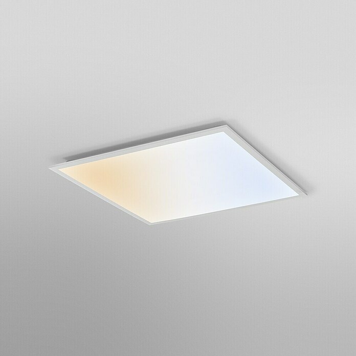 Ledvance Panel LED Essential (50 W, Blanco, Blanco cálido) | BAUHAUS