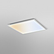 Ledvance Panel LED Essential (50 W, Blanco, Blanco cálido) | BAUHAUS