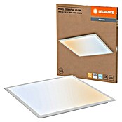 Ledvance Panel LED Essential (50 W, Blanco, Blanco cálido) | BAUHAUS