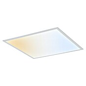 Ledvance Panel LED Essential (50 W, Blanco, Blanco cálido) | BAUHAUS