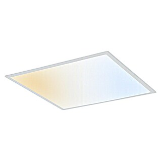 Ledvance Panel LED Essential (50 W, L x An x Al: 60 x 60 x 3,2 cm, Blanco, Blanco cálido)