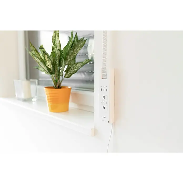 Schellenberg Funk-Rollladen-Gurtwickler Rollo Drive 65 Premium - Zugkraft: 45 kg, Gurtbreite: 23 mm, Unterputz - Nahaufnahme einer ScreenMoments RolloControl Duo Steuerung an einer weißen Wand, neben einem Fenster mit einer Pflanze.