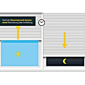 Schellenberg Recogedor de cinta de persiana (En pared, Anchura de la correa: 14 - 23 mm, Distancia entre orificios: 230 mm)