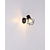 Globo Wandstrahler Priska (40 W, Schwarz, E27, B x H: 130 x 165 mm) | BAUHAUS