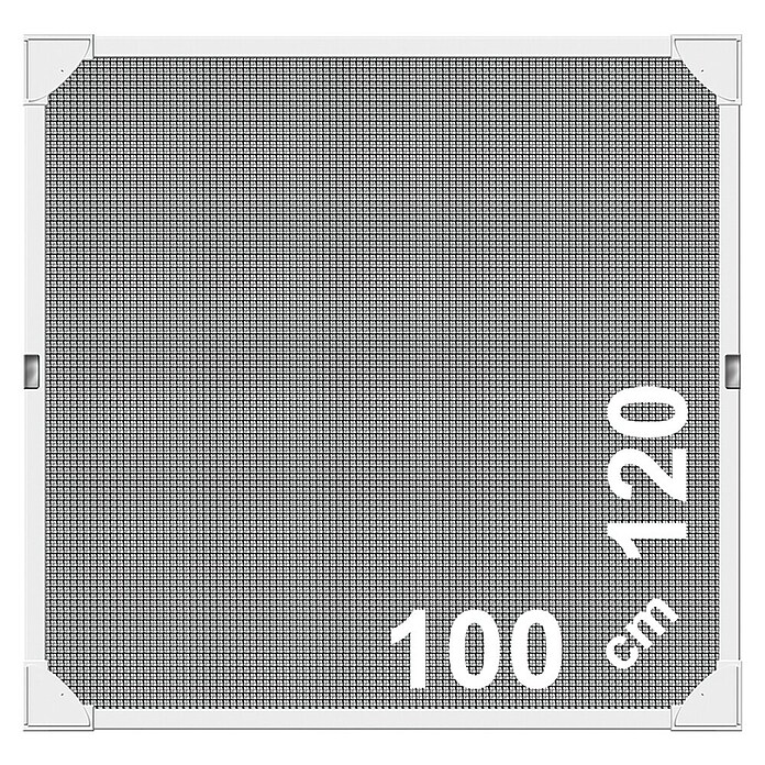 Schellenberg Insect Stop Mosquitera (An x Al: 120 x 100 cm, Blanco, Fijación mediante imán, Ámbito de uso: Ventana)