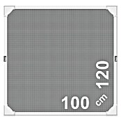 Schellenberg Insect Stop Mosquitera (An x Al: 120 x 100 cm, Blanco, Fijación mediante imán, Ámbito de uso: Ventana)