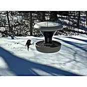 Swissinno Futtersäule Smart Birds (Kunststoff, Hellgrau) | BAUHAUS