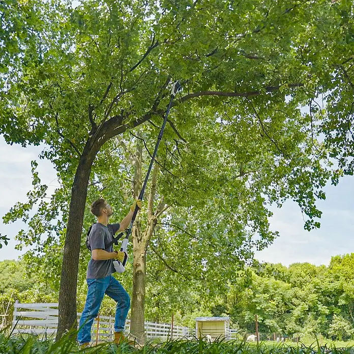 Litheli U20 Akku-Hochentaster - Ohne Akku, Schwertlänge: 200 mm, Länge Stiel: 340 cm - Ein Mann benutzt eine Akku-Baumsäge, um Äste an einem Baum zu schneiden, wobei der Fokus auf der vielseitigen Baumsäge liegt.