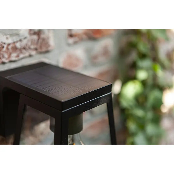 Lutec Solar-Außenwandleuchte Fia - 2 W, L x B x H: 16,4 x 14 x 20,7 cm, Schwarz, IP44, 150 lm - Nahaufnahme einer schwarzen Solar-Wandleuchte mit klaren Linien und einem schlanken Design, montiert an einer Ziegelwand mit grüner Vegetation im Hintergrund.