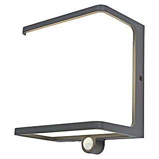 Lutec Doblo Aplique solar para exterior Flat (12 W, L x An x Al: 15 x 8,9 x 17 cm, Antracita, IP44, 1.000 lm)