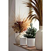 Maceta para planta Sita (Dimensiones externas (Ø x Al): 26,5 x 26 cm, Cerámica, Blanco) | BAUHAUS