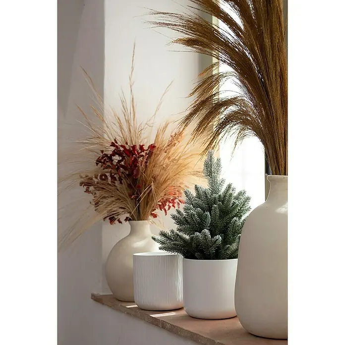 Maceta para planta Sita - Dimensiones externas (Ø x Al): 9,5 x 9,5 cm, Cerámica, Blanco - Arreglo decorativo con jarrones, flores secas y un pequeño árbol de Navidad nevado en maceteros blancos sobre una estantería.