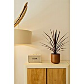 Maceta para planta Sita (Dimensiones externas (Ø x Al): 9,5 x 9,5 cm, Cerámica, Toffe) | BAUHAUS