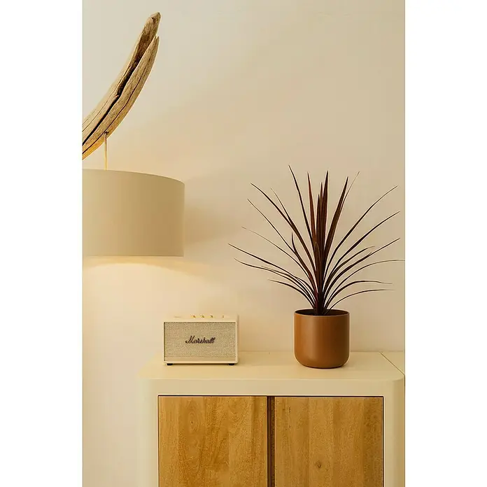 Maceta para planta Sita - Dimensiones externas (Ø x Al): 15 x 14,5 cm, Cerámica, Toffe - Primer plano de un altavoz Marshall sobre un armario junto a una planta, con una lámpara al fondo.