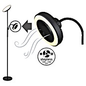 Globo LED stajaća svjetiljka Davyd  (20 W, Visina: 178 cm, Crna, Topla bijela) | BAUHAUS