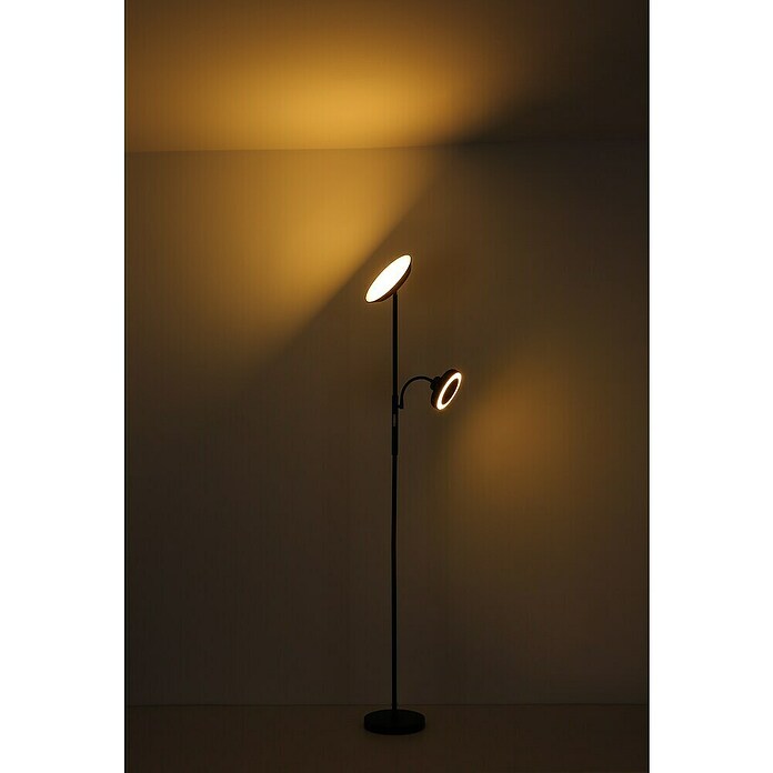Globo LED stajaća svjetiljka Davyd  (20 W, Visina: 178 cm, Crna, Topla bijela) | BAUHAUS