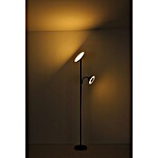 Globo LED stajaća svjetiljka Davyd  (20 W, Visina: 178 cm, Crna, Topla bijela) | BAUHAUS