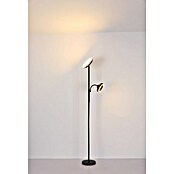 Globo LED stajaća svjetiljka Davyd  (20 W, Visina: 178 cm, Crna, Topla bijela) | BAUHAUS