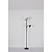 Globo LED stajaća svjetiljka Davyd  (20 W, Visina: 178 cm, Crna, Topla bijela) | BAUHAUS