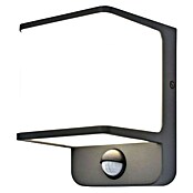 Lutec Doblo LED vanjska svjetiljka sa senzorom pokreta  (14 W, D x Š x V: 10,3 x 11 x 146 cm, Antracit) | BAUHAUS