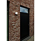 Lutec Doblo LED senzorska zunanja stenska svetilka  (14 W, Do x Š x V: 10,3 x 11 x 146 cm, Temno siva) | 3079 - Wandleuchte outdoor mit Bewegungsmelder | CAJA - Outdoorleuchten Hochvolt | CAJ - Outdoorleuchten | CA - Beleuchtung | C - Elektro | BAUHAUS