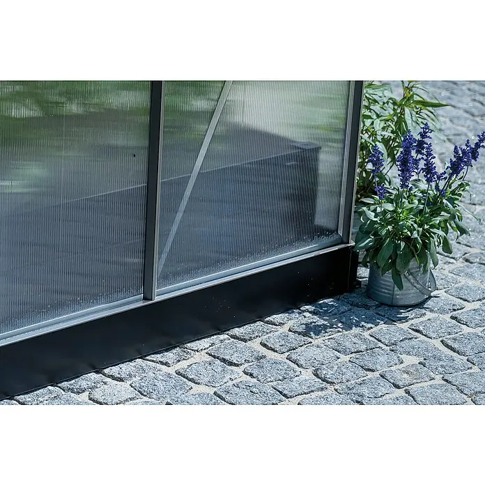 Halls Montageleiste Set - B x L: 12 x 191,2 cm, Passend für: Halls Gewächshaus ICON 6 mit 6,1 m² (Doppelplatten) - Sicherheitsglas, Schwarz - Nahaufnahme eines Gewächshauses mit einem Pflanzgefäß blühender blauer Salbeiblüten auf einem gepflasterten Gehweg.