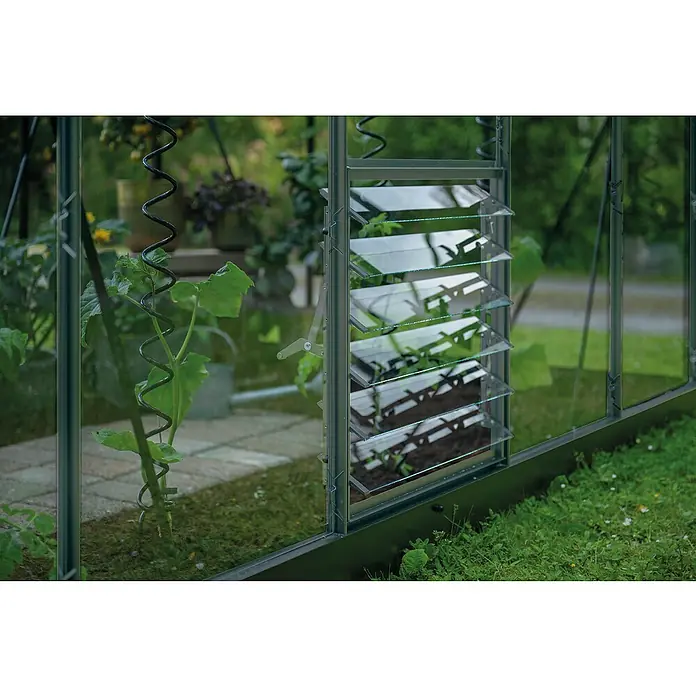 Halls Gewächshaus-Lüfter - Passend für: Halls Icon Planthouse Gewächshäuser (Aluminium), L x H: 6 x 188 cm - Nahaufnahme eines Gewächshausfensters mit Lamellen und einer Pflanze im Vordergrund, das für optimale Belüftung sorgt.