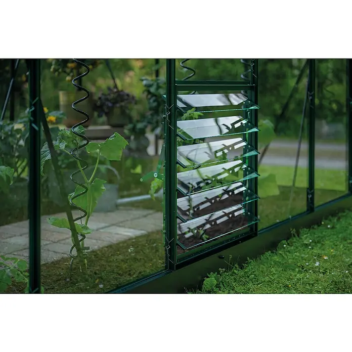 Halls Gewächshaus-Lüfter - Passend für: Icon Planthouse Gewächshäuser (Grün), L x H: 6 x 188 cm - Nahaufnahme eines Gewächshauses mit Lamellenfenster zur Belüftung und einer Kletterpflanze an einer Stützspirale.