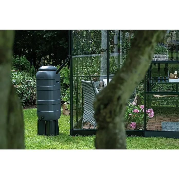 Halls Regentonne - Schwarz - Eine Regentonne aus Kunststoff steht im Garten neben einem Gewächshaus. Der Behälter ist dunkelgrau und dient zur Regenwassernutzung.