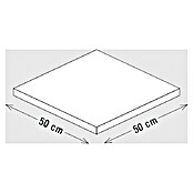 Palatino Tischplatte / Auflage Top (L x B x H: 50 x 50 x 6 cm, Stahl, Anthrazit) | BAUHAUS