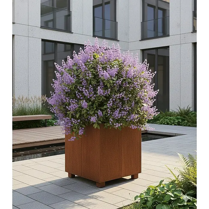 Palatino Hochbeet Urban Steps - 100 x 100 x 80 cm, Stahl, Rostrot - Großaufnahme eines quadratischen Pflanzgefäßes aus Cortenstahl mit üppiger, lilafarbener Pflanze auf einer Terrasse.