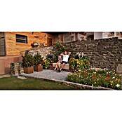 Palatino Exlusive Line Maceta para las plantas (50 x 50 x 50 cm, Acero Corten, Rojo-pardo)
