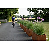 Palatino Exlusive Line Maceta (120 x 40 x 50 cm, Acero Corten, Rojo-pardo)