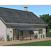 Palram – Canopia Terrassenüberdachung Capri (B x T: 619 x 299 cm, Anthrazit, Polycarbonat, Klar) | BAUHAUS